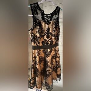 The limited lace dress